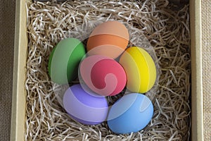 Colorful easter eggs in carton top view on white background  Colorful eggs.