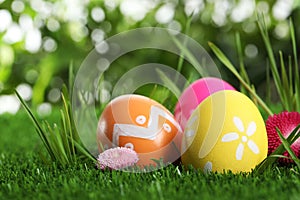 Colorful Easter eggs and daisy flower in grass, closeup
