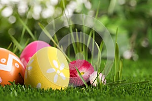 Colorful Easter eggs and daisy flower in grass, closeup. Space for text