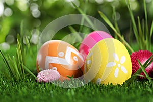 Colorful Easter eggs and daisy flower in green grass, closeup