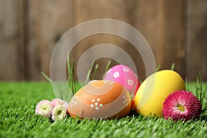 Colorful Easter eggs and daisy flowers in green grass, closeup