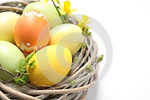 Colorful Easter eggs in decorative nest on background, closeup