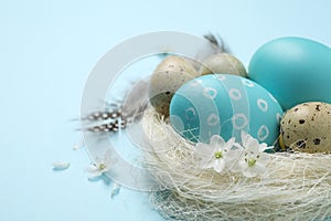 Colorful Easter eggs in decorative nest on blue background, closeup. Space for text