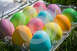 Colorful easter eggs in disposable plastic tray on green grass