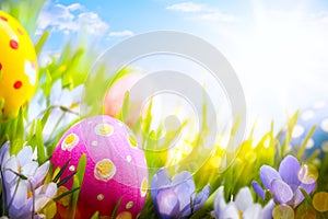 Colorful Easter eggs and flowers in the grass on blue