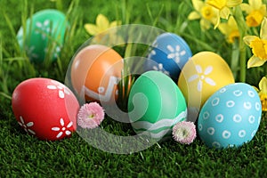 Colorful Easter eggs and flowers in green grass, closeup