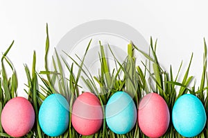Colorful Easter eggs on fresh green grass isolated on white background.