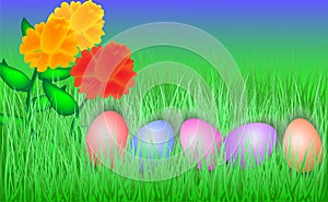 Colorful Easter eggs on grass with Flower.