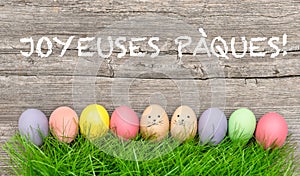 Colorful easter eggs in green grass. Funny decoration french