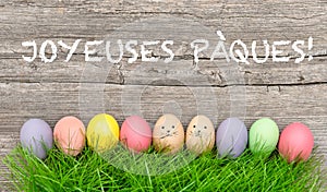 Colorful easter eggs in green grass. Funny decoration french photo