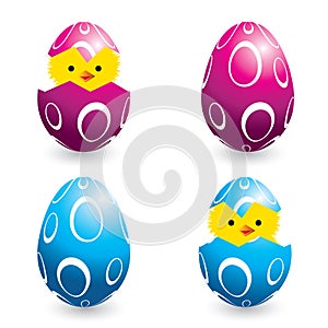 Colorful easter eggs and hatching chicks