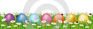 Colorful easter eggs hidden in a field. Spring banner with daisies and ladybugs.