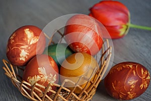 Colorful Easter eggs in a knit basket and red tulip on a wooden table.