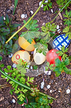 Colorful Easter eggs lie between green petals