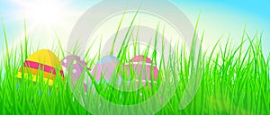 Colorful easter eggs in lush green grass against blue sky