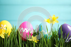 Colorful Easter eggs and narcissus flowers in grass against light blue background