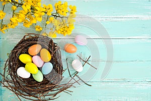 Colorful Easter eggs in nest with flower on rustic wooden planks background in blue paint.