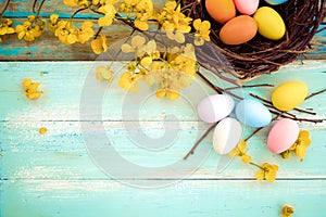 Colorful Easter eggs in nest with flower on rustic wooden planks background in blue paint