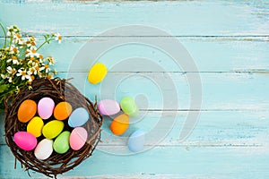 Colorful Easter eggs in nest with flower on rustic wooden planks background in blue paint.