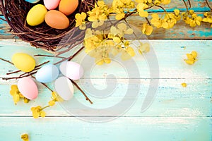 Colorful Easter eggs in nest with flower on rustic wooden planks background in blue paint.