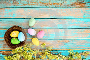 Colorful Easter eggs in nest with flower on rustic wooden planks background in blue paint.