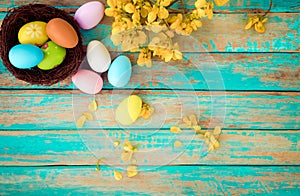 Colorful Easter eggs in nest with flower on rustic wooden planks background in blue paint.