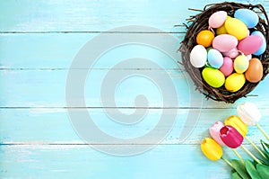 Colorful Easter eggs in nest with tulip flower on blue wooden background.