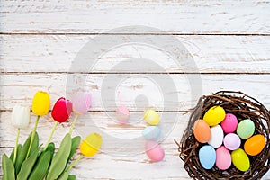Colorful Easter eggs in nest with tulip flower on rustic wooden planks background.