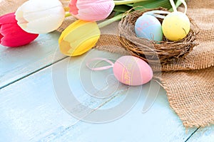 Colorful Easter eggs in nest with tulip flowers on blue wooden background.