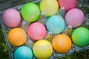 Colorful easter eggs in old plastic tray on green grass