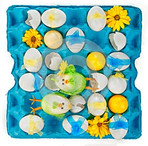 Colorful easter eggs with poults