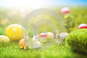 Colorful easter eggs and rabbits toy on fresh spring grass in the garden. Close up of easter bunny
