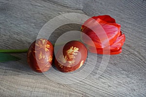 Colorful Easter eggs and red tulip on a wooden table - close up view