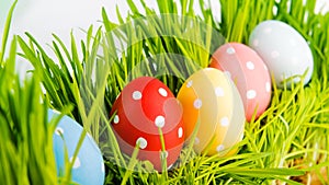 Colorful easter eggs in a row on grass