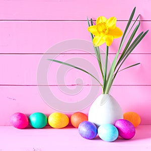 Colorful Easter Eggs in Row with Spring Daffodil in a modern vase against pink shiplap boards with copy space.  It`s a square cro