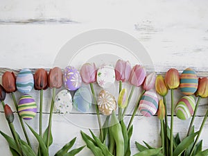 Colorful Easter eggs with tulip flowers on wooden background  festival and holiday spring coming  Easter calibration