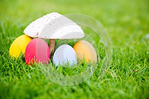 Colorful easter eggs under white mushroom on the green garden yard. symbol of easter`s day festival.