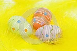 Colorful Easter eggs on yellow feathers