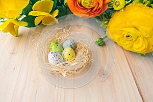 Colorful Easter nest with quail eggs and yellow and orange flowers on wooden background