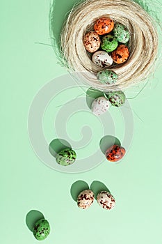 Colorful Easter Quail eggs in straw nest on light green. Spring Easter small spotted egg