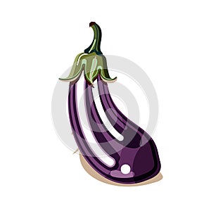 Colorful eggplant. Isolated aubergine on white background. Modern flat cartoon for poster, web design, banner, icon