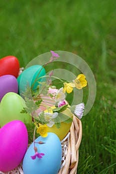 Colorful eggs with springtime flowers in basket on green grass