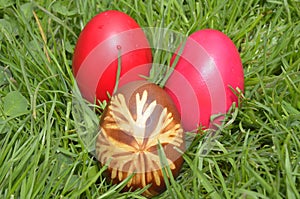 Colorful egs in grass photo