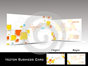 colorful elegant concept business card