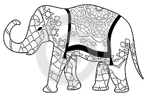 Colorful elephant coloring for children and adults