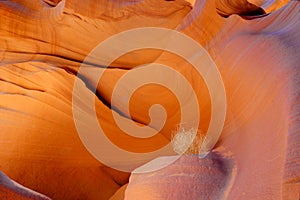 colorful eroded red rock in slot canyon contrasts ball of spinifex , antelope valley, page, arizona, usa