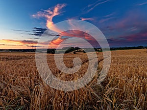 The colorful evening sky above the field