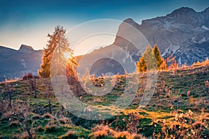 Colorful evening view of  Tre Croci Cortina Pass.