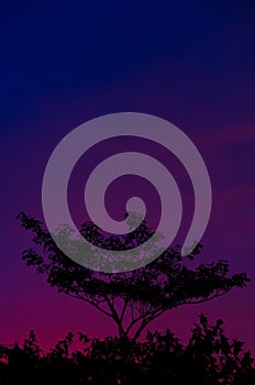 Colorful Evenning Sky (Blue)