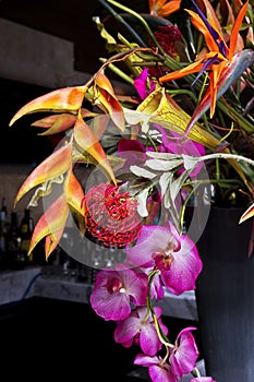 Colorful exotic floral arrangement